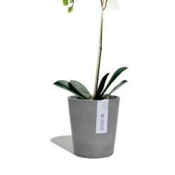 Ecopots Verkäufe -Ecopots Verkäufe blumentopf ecopots morinda 1 2 4649