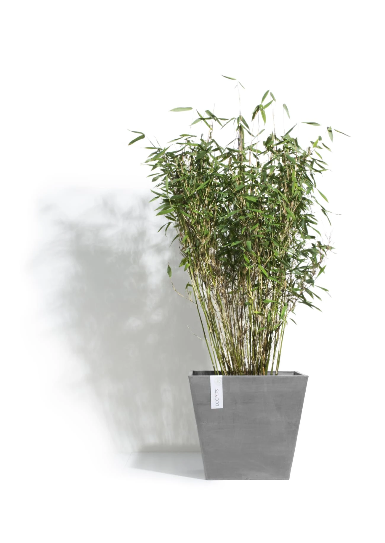 Blumentopf ECOPOTS Rotterdam Aus Kunststoff | Grau 2 Blumentopf ECOPOTS Rotterdam Aus Kunststoff | Grau – Bild 2