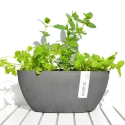 Ecopots Verkäufe -Ecopots Verkäufe blumentopf ecopots sofia milieu 2 4221