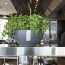 Blumentopf ECOPOTS Sofia Aus Kunststoff | 30 X 13 X 13,5 Cm | Grau -Ecopots Verkäufe blumentopf ecopots sofia milieu 3 4 9583