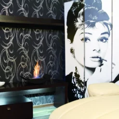 Ethanol-Kamin Kratki BIOMISA MINI -Ecopots Verkäufe ethanol kamin kratki biomisa mini milieujpg 6 140509