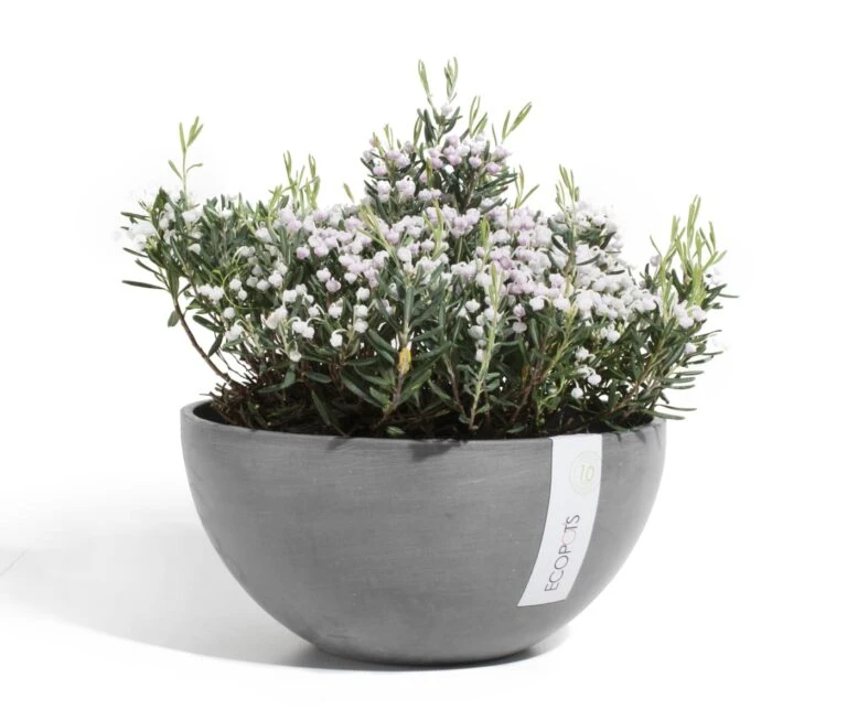 Ecopots Verkäufe -Ecopots Verkäufe Blumentopf ECOPOTS Bruessel aus Kunststoff grau 933001010 2 117932 768x653 1